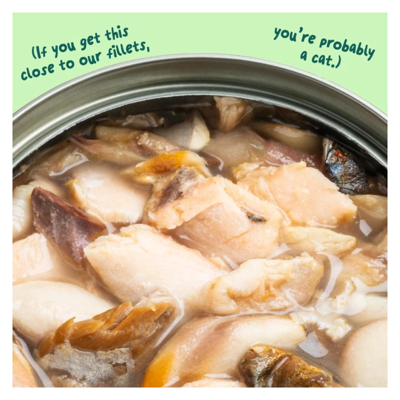 Edgard & Cooper kattefilet laks og makrel i bouillon 70 g